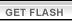 Download Macromedia Flash Player